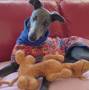 Meet your Posher, Susan